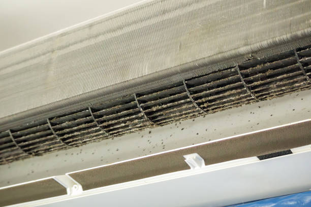 Best Ventilation Cleaning Services  in Southern Shores, NC